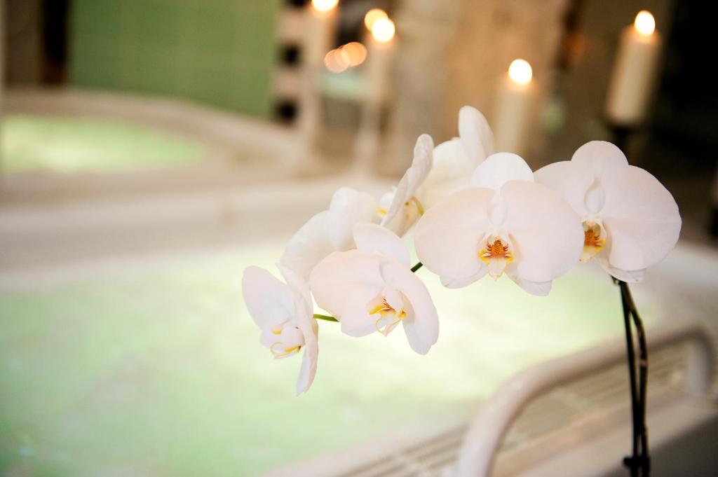 Ringhotel Vitalhotel Ambiente Bad Wilsnack Bagian luar foto